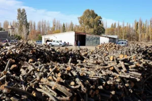 Inició la entrega de leña en barrios de Neuquén 