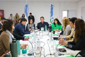 El CoProNAF aprobó el proyecto de Tratamiento Mediático de Suicidio