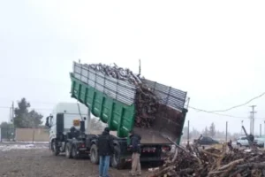 La provincia reforzó la entrega de leña en barrios de la capital neuquina