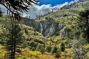 Las tierras de Pulmarí no pueden venderse